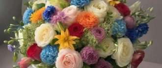 Букеты-антистресс: цветы, которые реально улучшают настроение